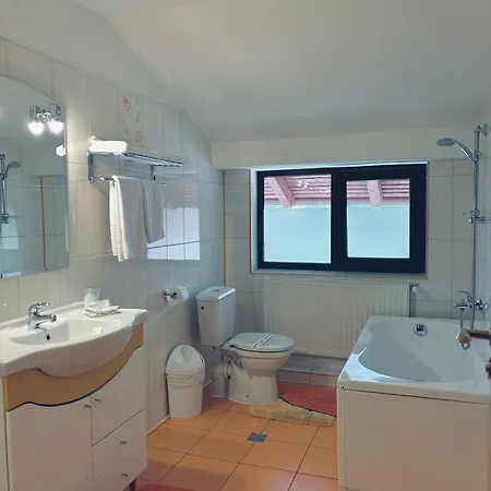 Pensiunea Atlantis Guest house Busteni