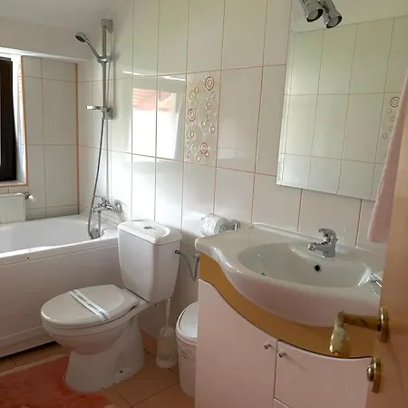 Guest house Pensiunea Atlantis Busteni