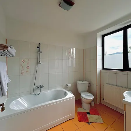 Guest house Pensiunea Atlantis